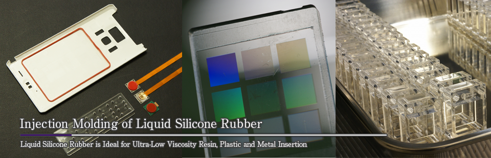 Injection Molding of Liquid Silicone Rubber